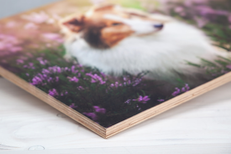 Fotos auf Holz verkaufen, Beispielbild