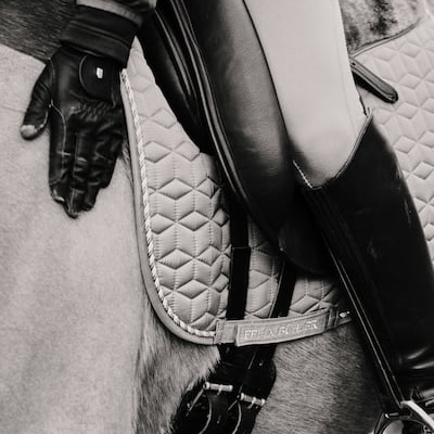 Reitsportfotografie mit Pictrs