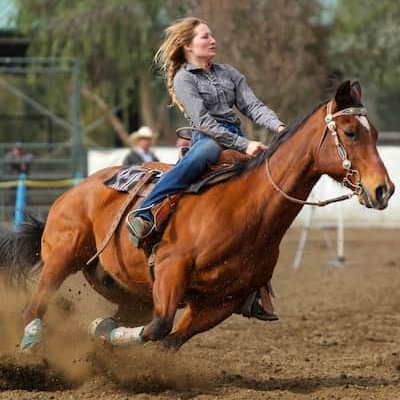 Reitsportfotografie mit Pictrs
